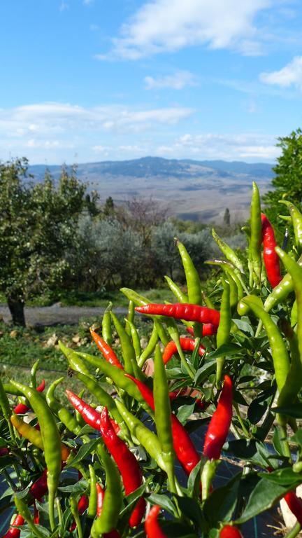 Agriturismo B And B Rifugio Dei Sogni Volterra Exterior foto