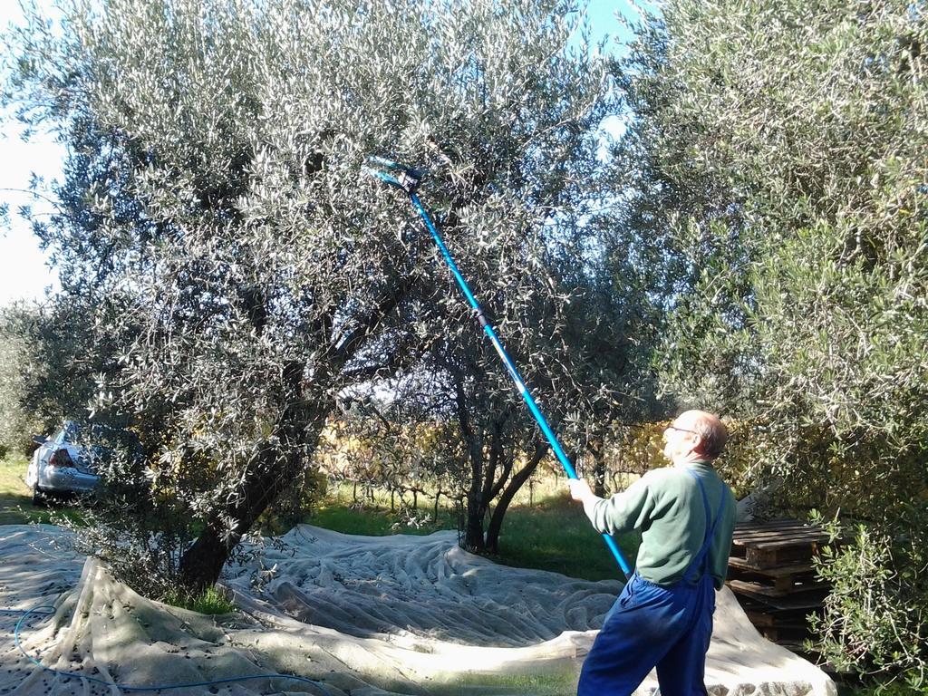 Agriturismo B And B Rifugio Dei Sogni Volterra Exterior foto